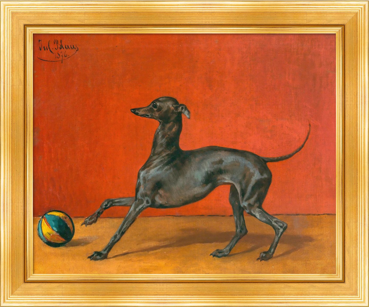 Portrait of a greyhound