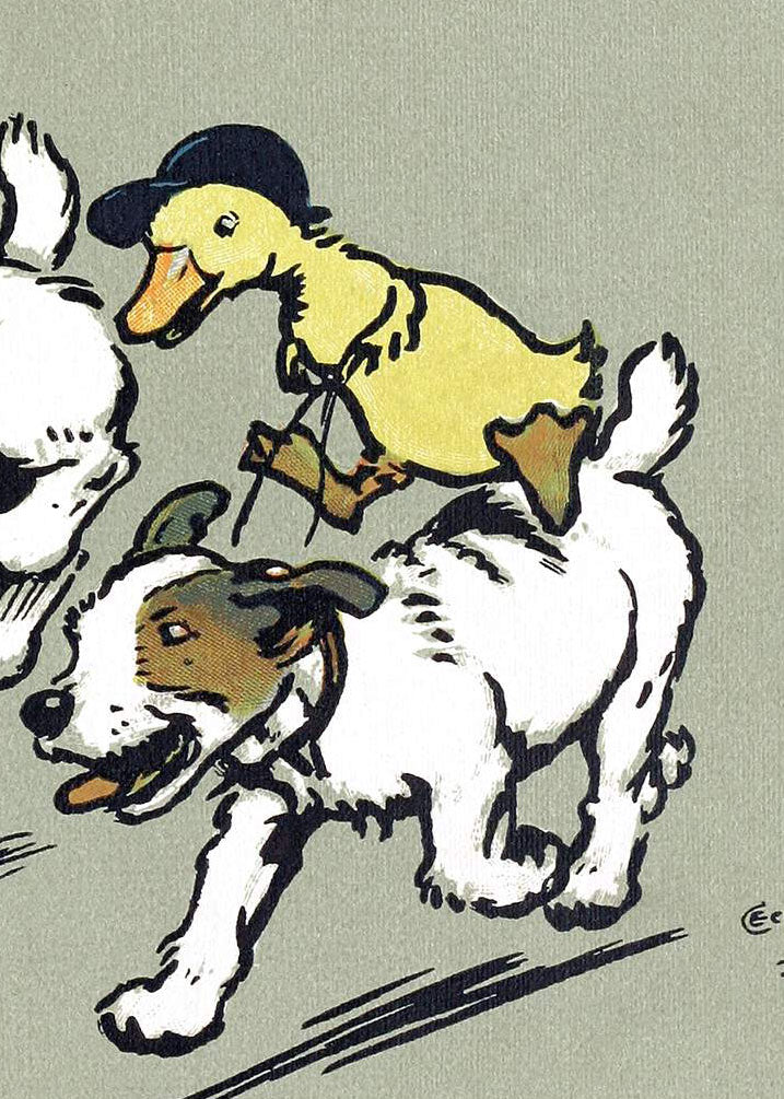 Ducks riding dogs