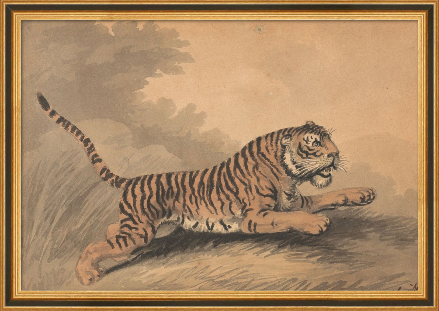 Leaping Tiger