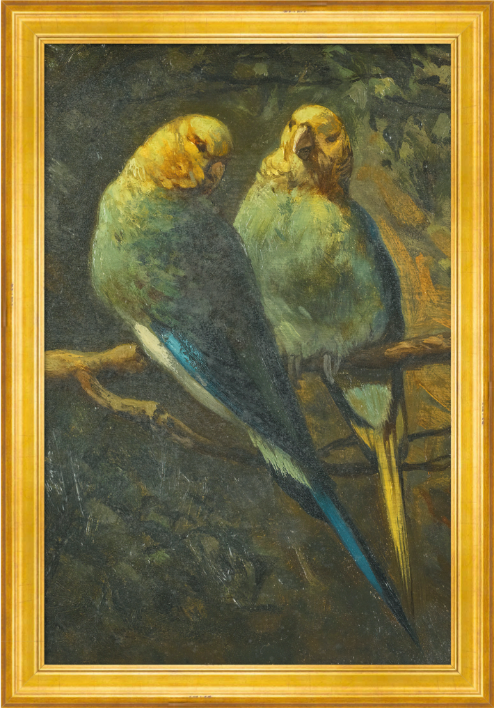 Parrots