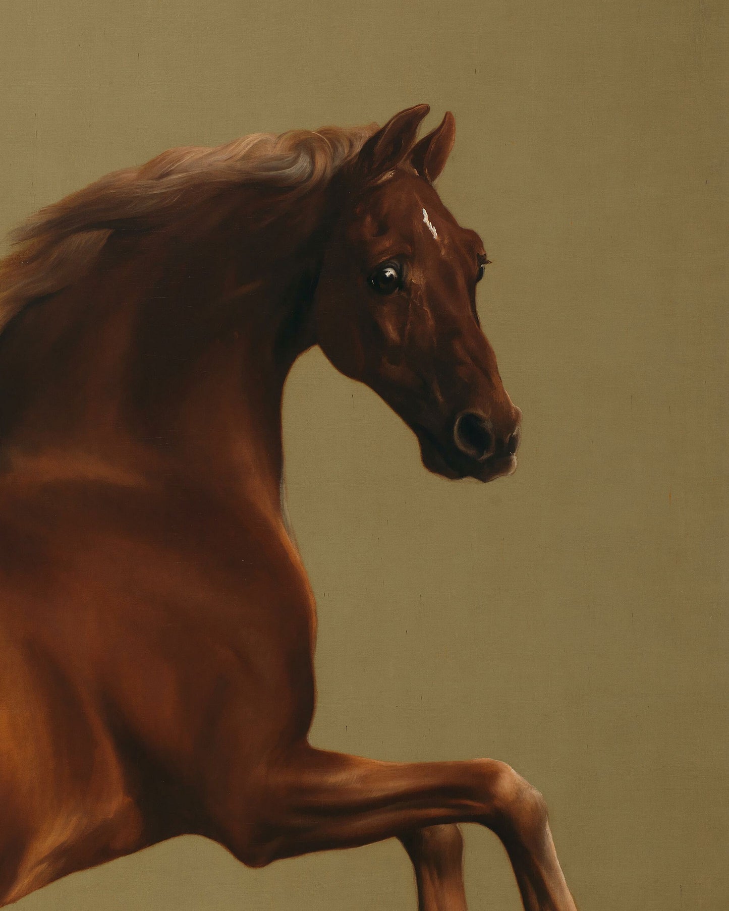 Whistlejacket