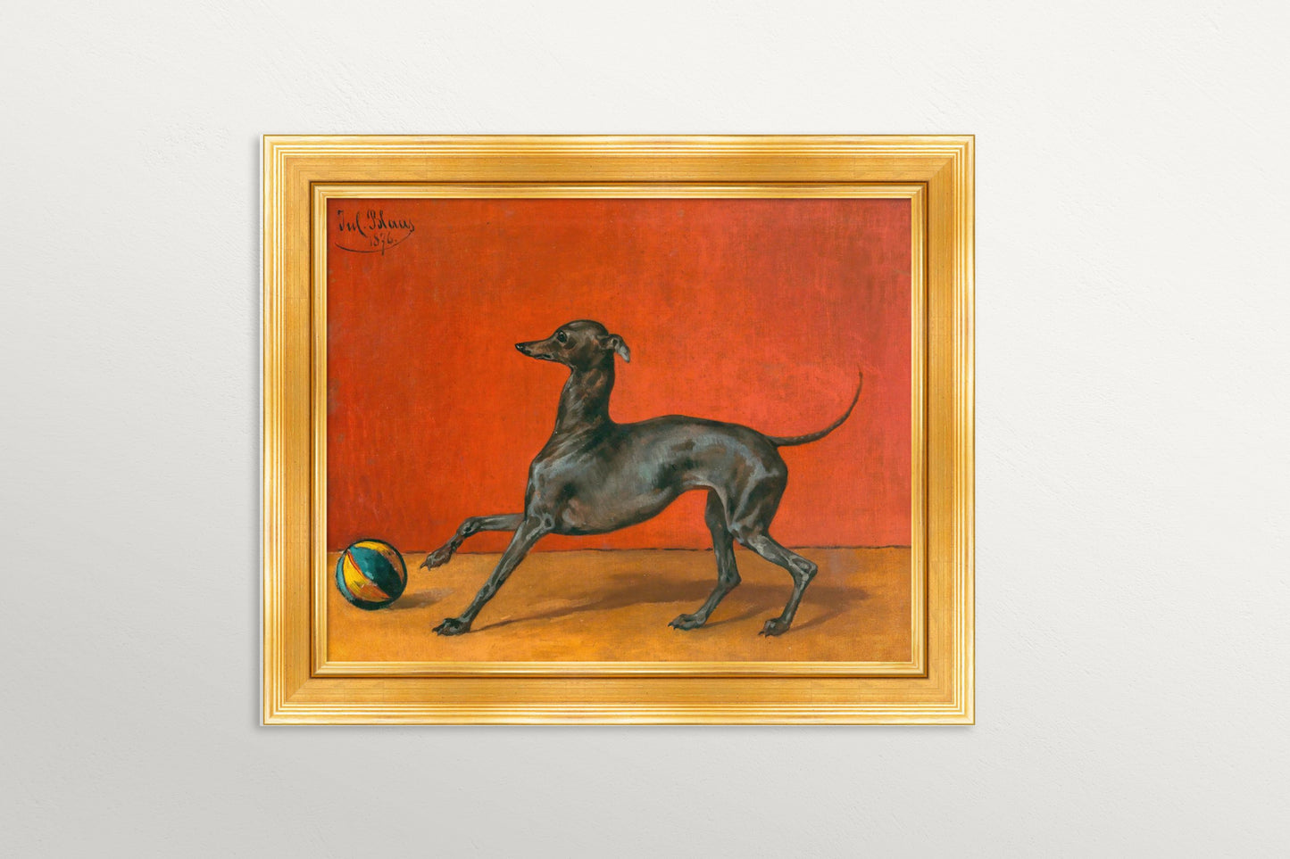 Portrait of a greyhound