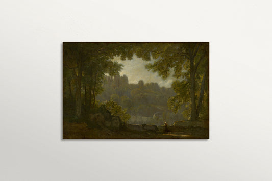 Forest Landscape