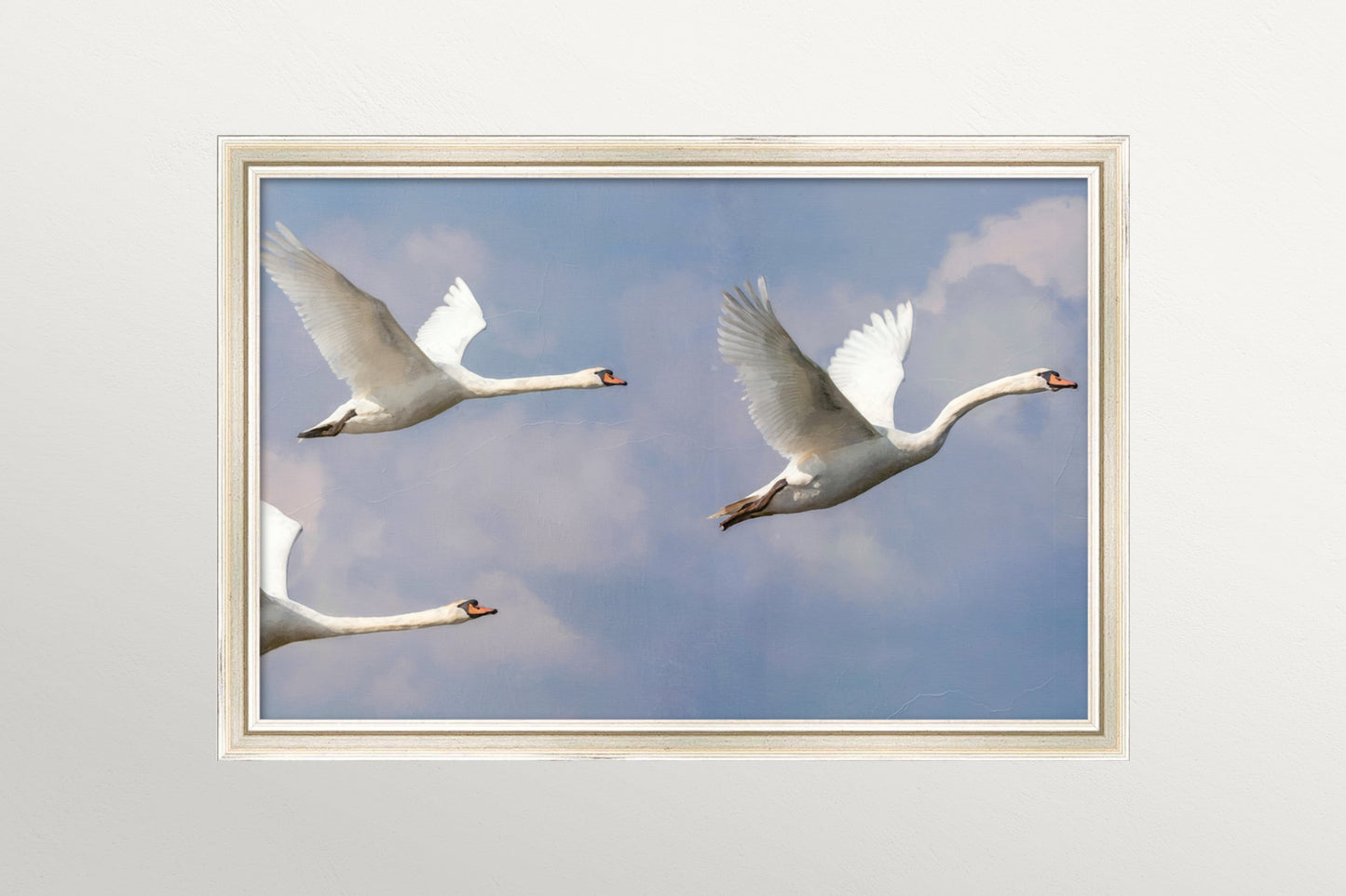 Flying Swans