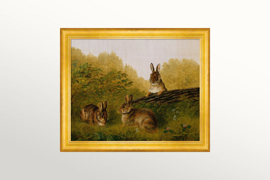 Woodland Rabbits