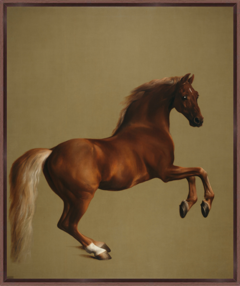 Whistlejacket